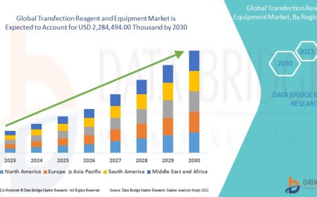Transfection Reagent and Equipment Market Size, Share, Demand, Rising Trends, Growth and Competitors Analysis