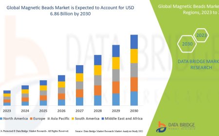 Magnetic Beads Market: Size, Share, and Growth Forecast to 2030