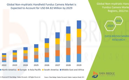 Non-mydriatic Handheld Fundus Camera Market Business Status and Future Outlook Analysis 2029