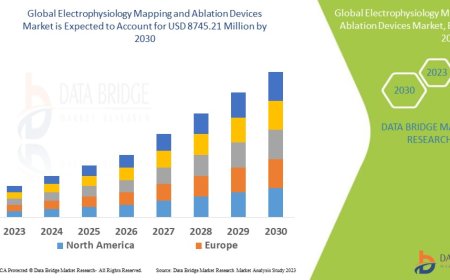 Electrophysiology Mapping and Ablation Devices Market Insights and Growth Trends 2023 –2030