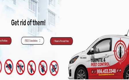 Rodent Control Made Easy: How to Keep Mice and Rats Out of Your Home for Good