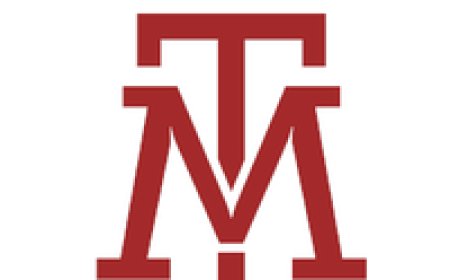 Hitta Rätt Målare i Stockholm: Din Kompletta Guide