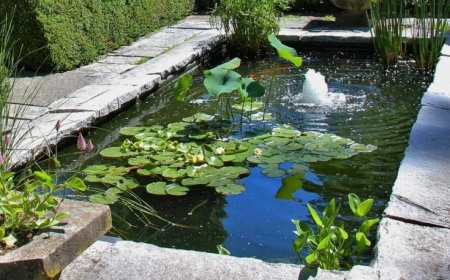 Elevate Your Landscape with Soothing Outdoor Elements