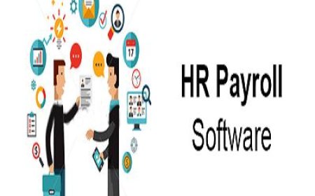 Streamline Your Workforce Management with HR Payroll Software