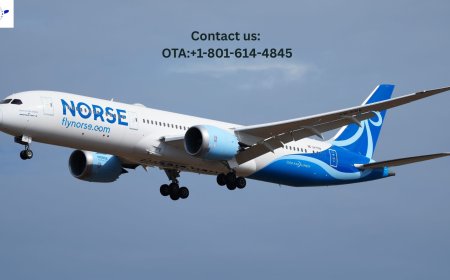 How do I contact to a live person at Norse?