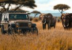 What is the Best African Safari Destination?