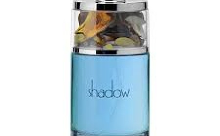 Top Musk Perfume Choices for a Bold & Masculine Fragrance