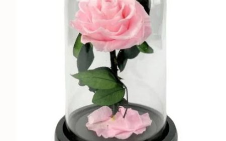 Missed a Moment? Let Flowers Make It Right!