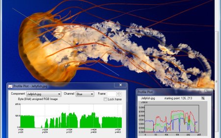 Enhancing Truth: Deblurring Software in Investigative Journalism Video Analysis