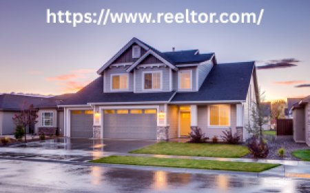 Reeltor: Property transaction with smart control