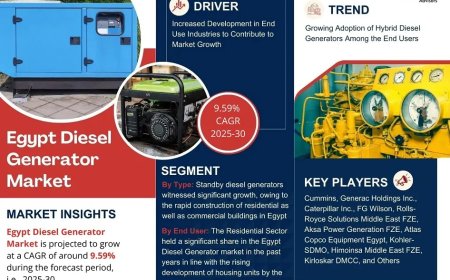 Egypt Diesel Generator Market Outlook 2025: Trends, Growth & Demand