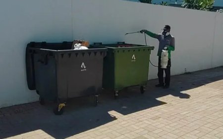 Reliable Pest Control Services in Sharjah: A Must for Every Home and Business