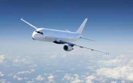 Cheap Aer Lingus Business Class