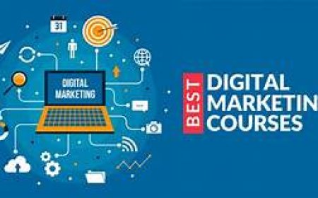 Why Local Businesses Should Partner with a Digital Marketing Institute?