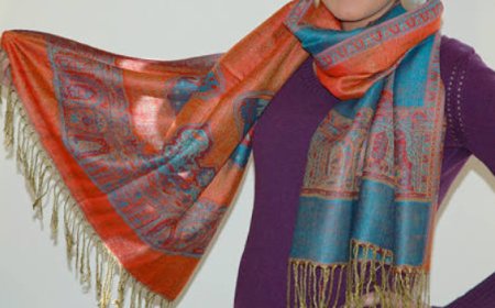 Timeless Elegance of a Pashmina Shawl: Luxury, Heritage, and Style