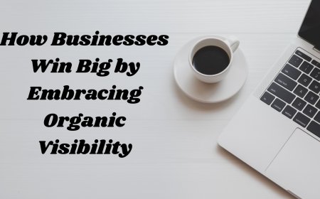 How Businesses Win Big by Embracing Organic Visibility