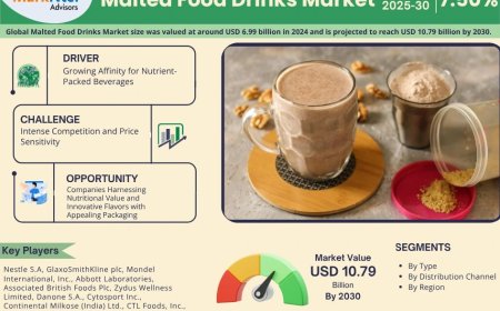 Malted Food Drinks Market Overview 2025–2030: Share, Size & Future Trends