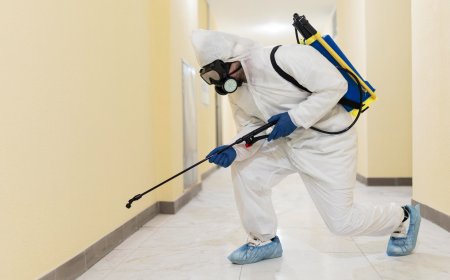 Commercial Pest Control Services for Businesses | Care n Clean