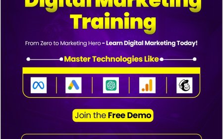 How Noida’s Digital Marketing Institutes Are Helping Students Get Hired