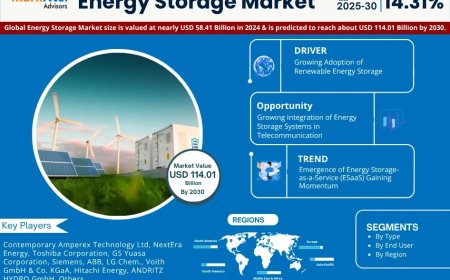 Energy Storage Market Research 2025–2030: Growth, Size & Opportunities