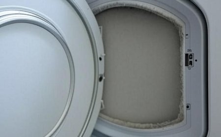 What are the signs that your Clovis dryer lint trap needs immediate cleaning