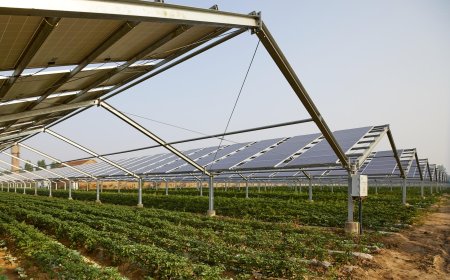 Global Agrivoltaics Market Size and Growth Trends through 2032