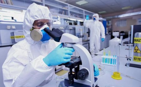 Biodefense Market Size, Trends, and Growth Strategies through 2032