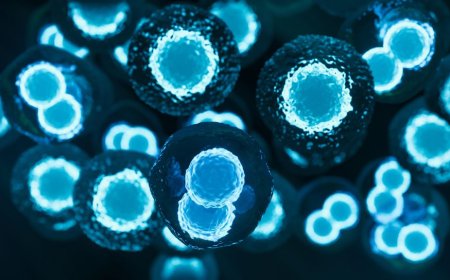 Global Induced Pluripotent Stem Cells Market Growth and Strategic Insights