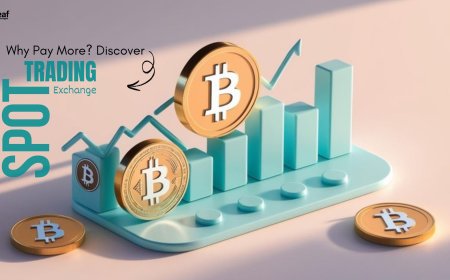 Why Pay More? Discover Spot Trading Crypto Exchange with Cost-Saving Perks