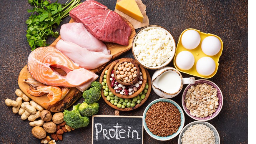 North America Animal Protein Market to Reach US$ 3.68 Billion by 2033 – Renub Research
