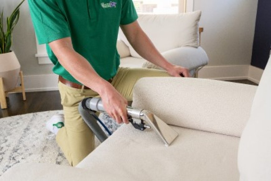 What to Expect from a Professional Upholstery Cleaning Service New York Companies Provide